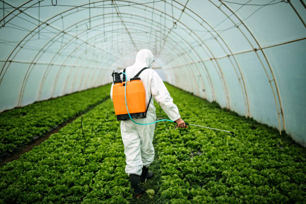 Best Pest Removal Services  in Justice, IL