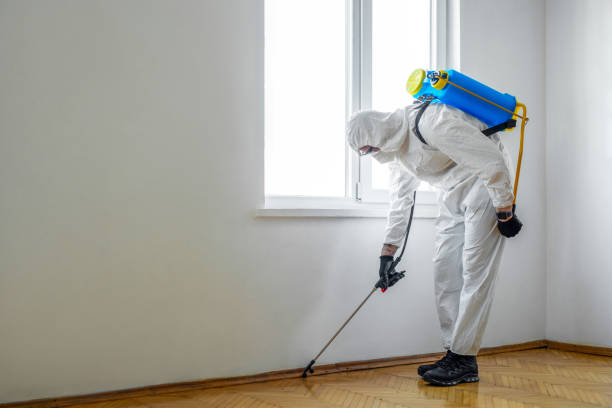 Best Pest Inspection Near Me  in Justice, IL