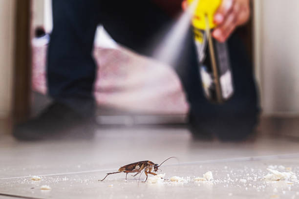 Best Commercial Pest Control Services  in Justice, IL