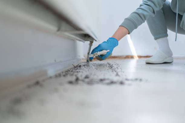 Best Affordable Exterminators  in Justice, IL