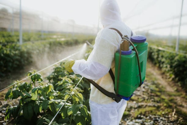 Best Exterminator Services  in Justice, IL